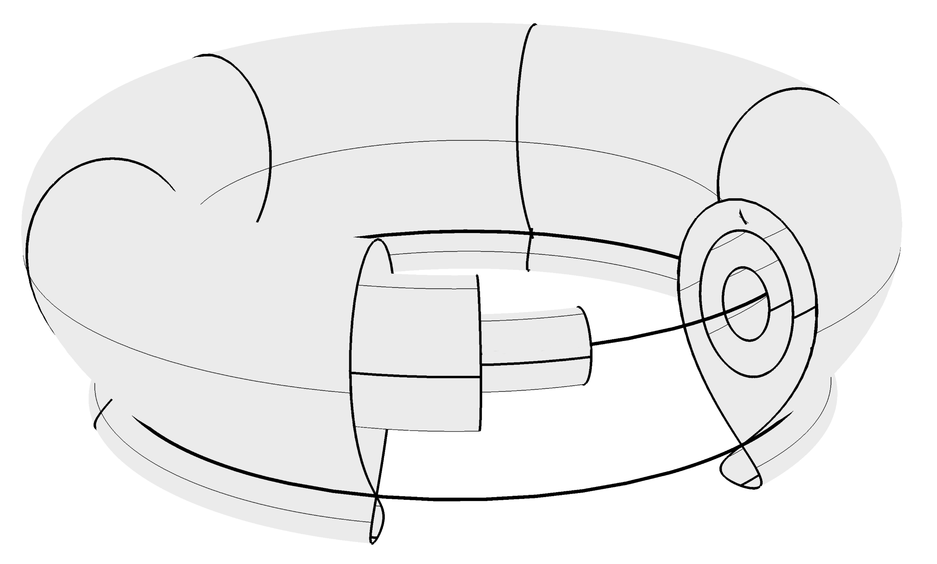 A tokomak divertor